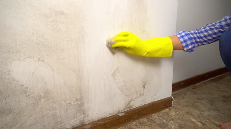 Best Asbestos and Lead Testing During Mold Inspection  in Arlington, OH