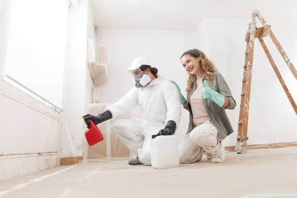 Best Water Damage & Mold Remediation  in Arlington, OH