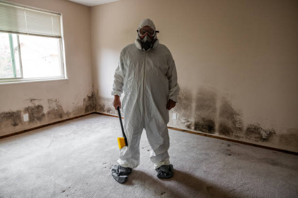 Best Biohazard Mold Removal  in Arlington, OH